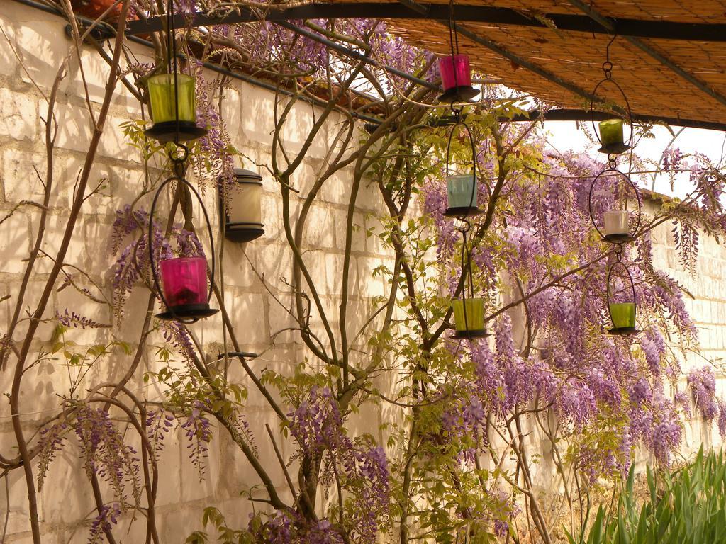 Entre Cour Et Jardin Hotell Châlons-en-Champagne Eksteriør bilde