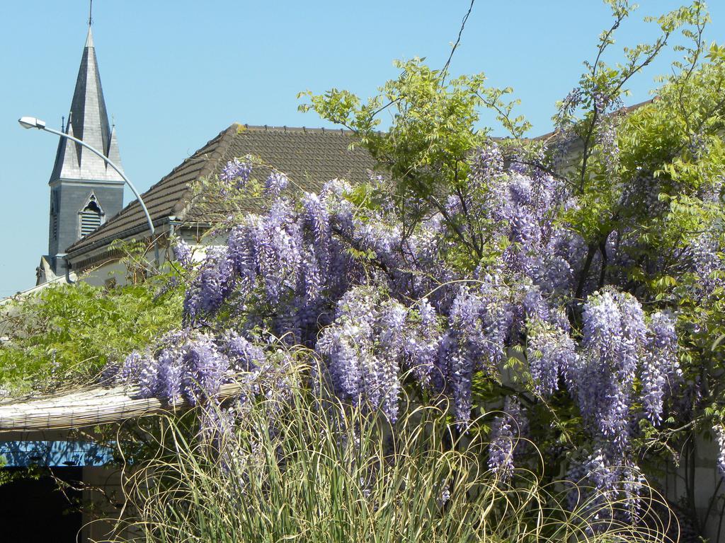 Entre Cour Et Jardin Hotell Châlons-en-Champagne Eksteriør bilde